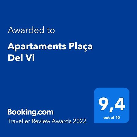 Apartaments Placa Del VI Жирона Экстерьер фото